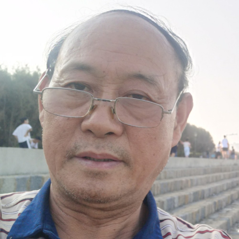 乐器的照片