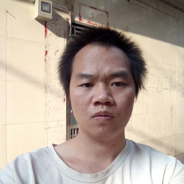 含羞草就文艺的照片