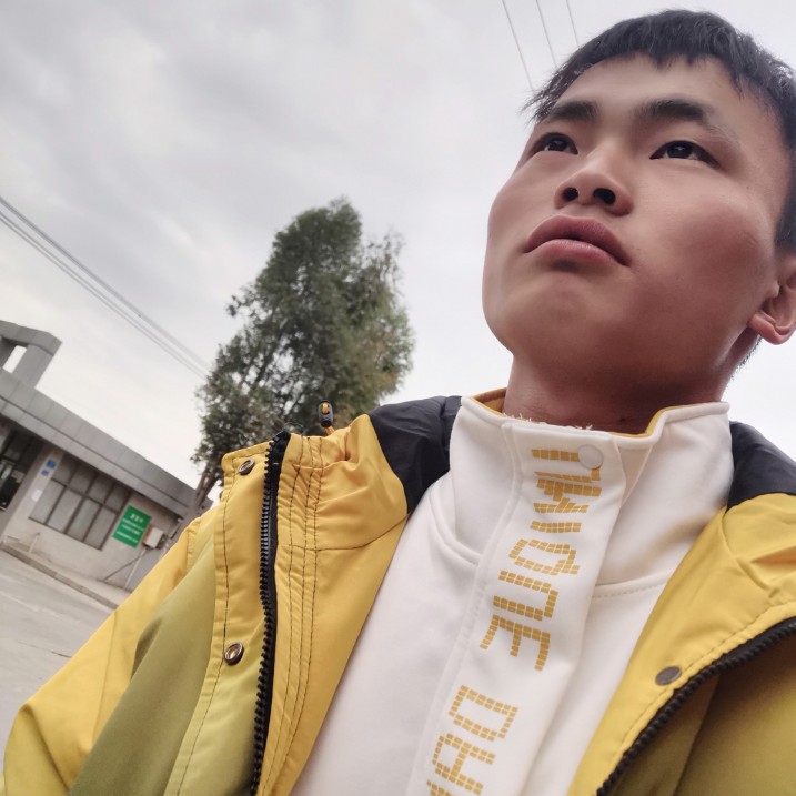 自由还冬日的照片