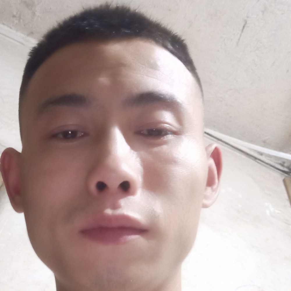 枫叶的照片