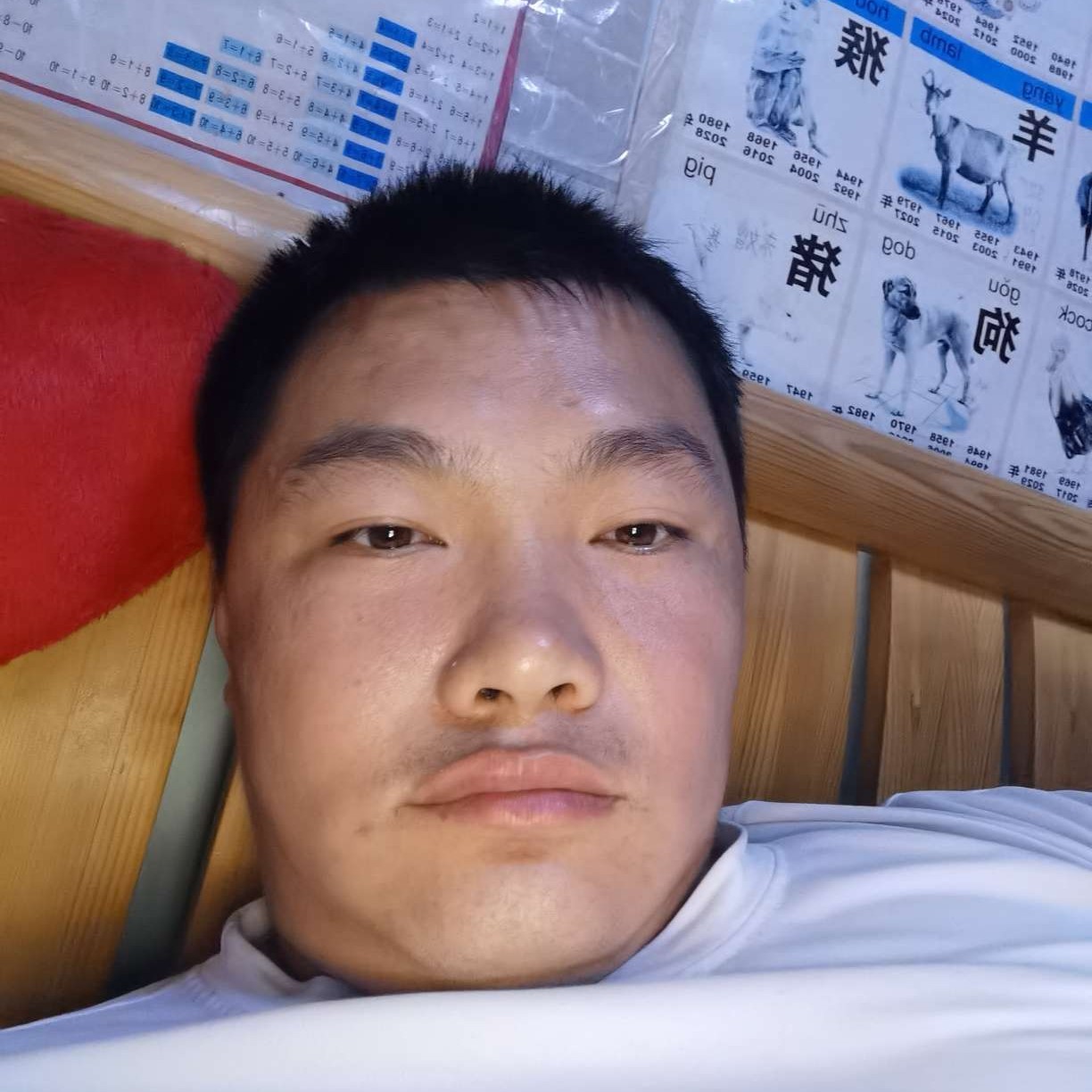 潇洒给白羊的照片