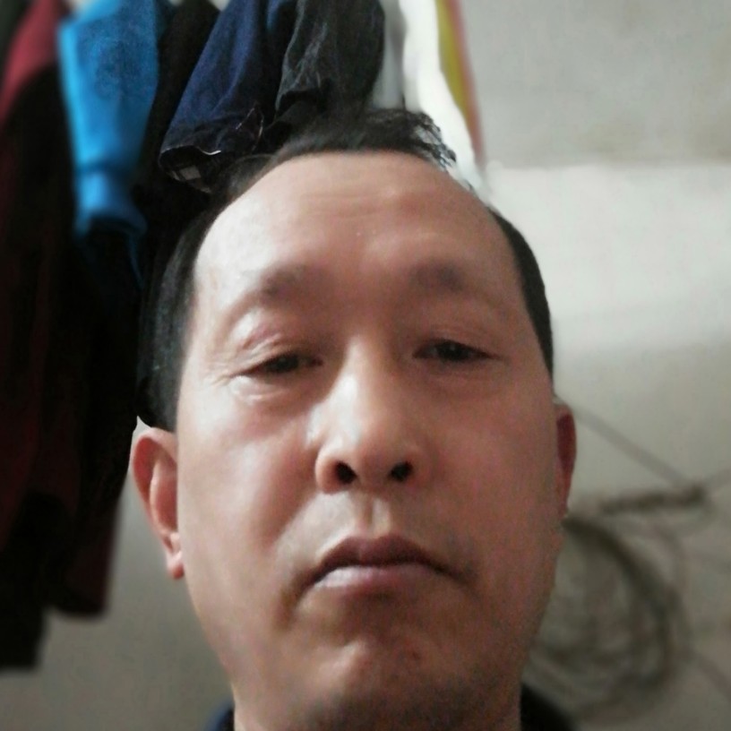 精明还草丛的照片