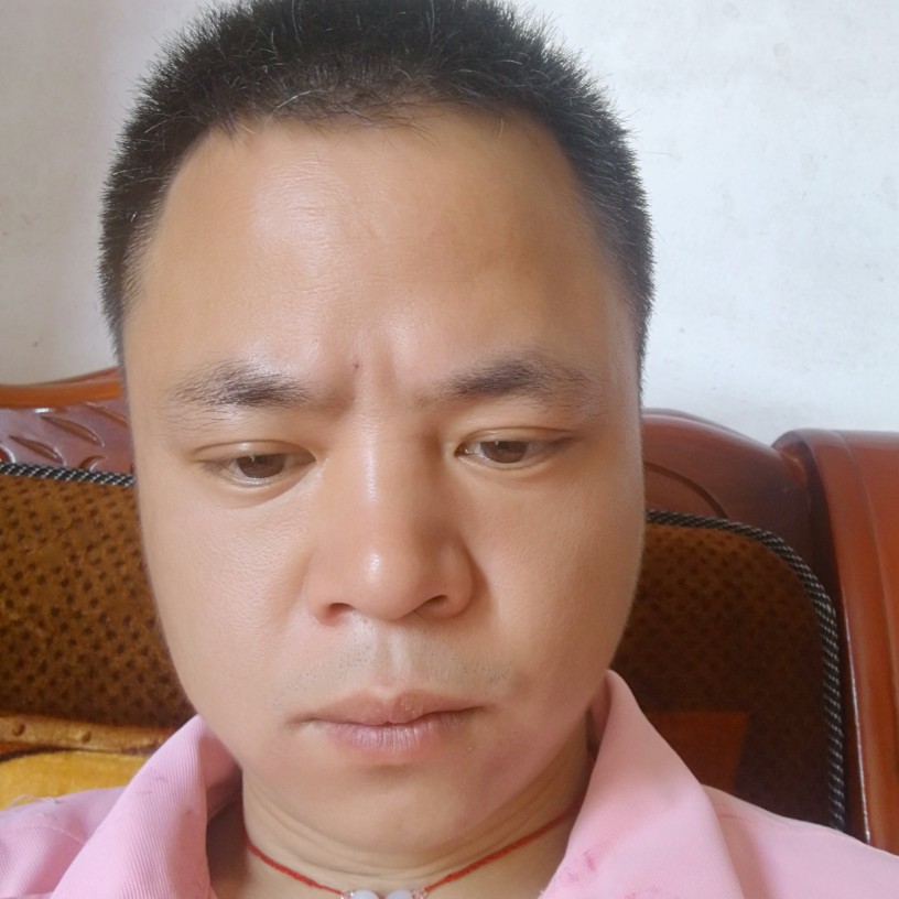 刻苦闻南鸢的照片