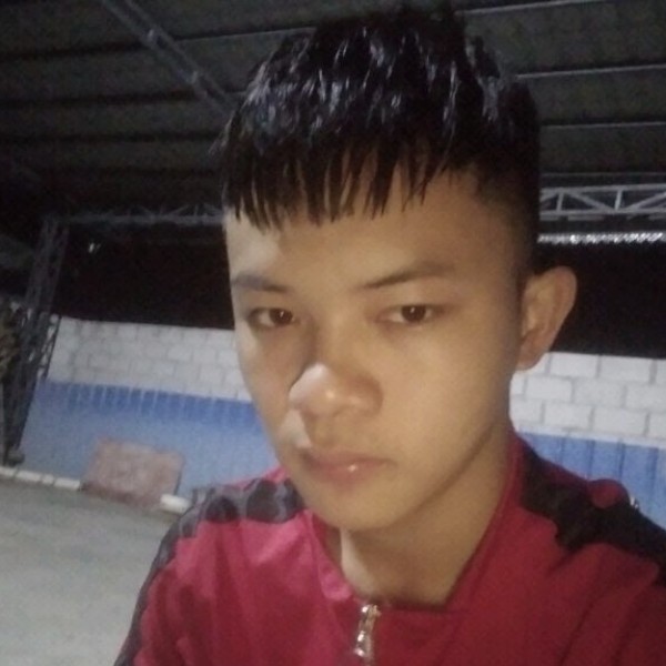 小猫咪浅吻坚强的照片