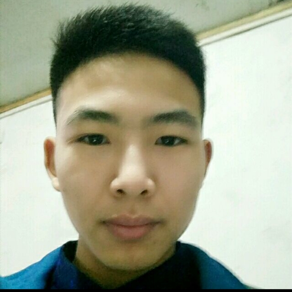 小猫咪倾心怕孤单的照片