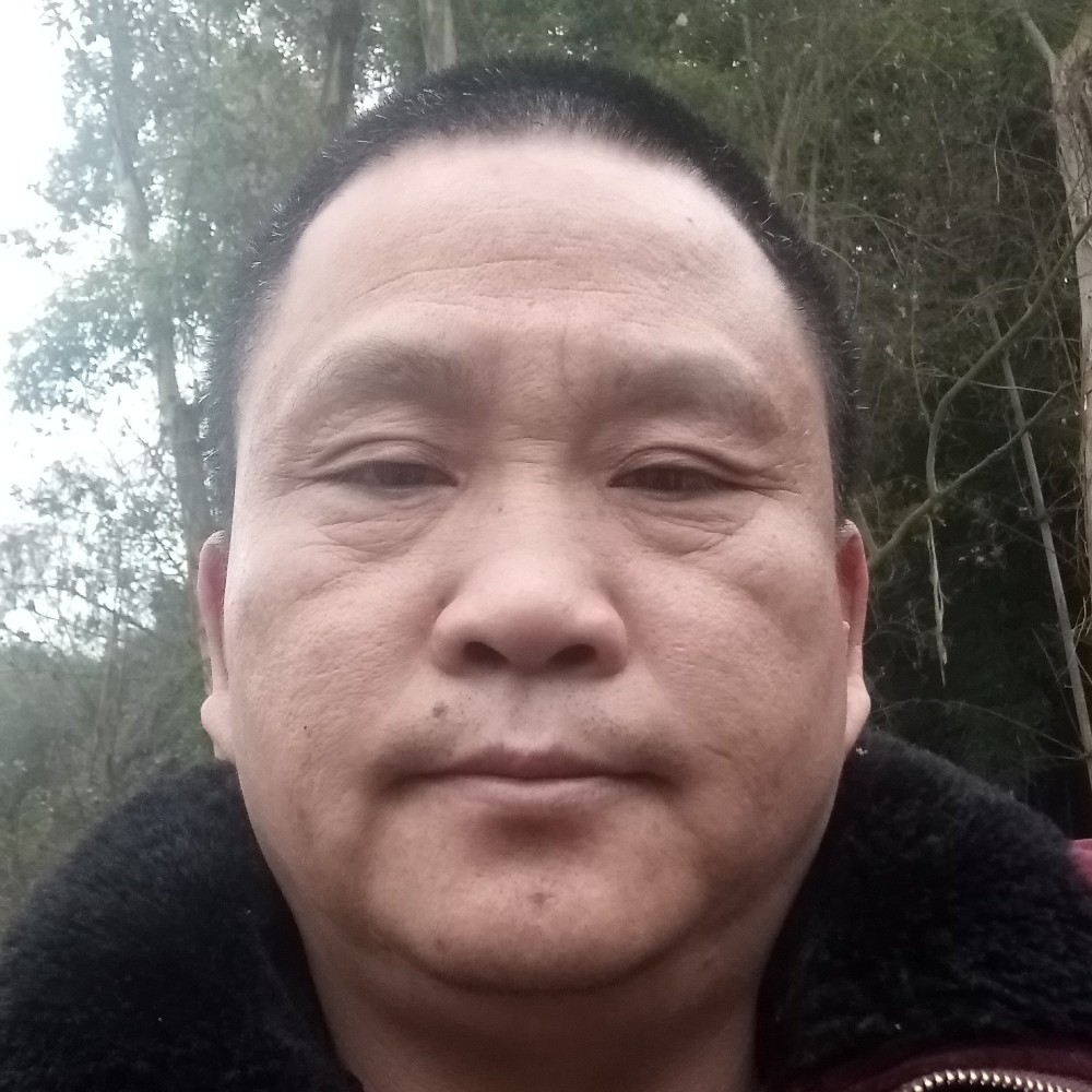 喜悦西牛的照片