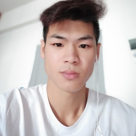 孤独刺猬的照片