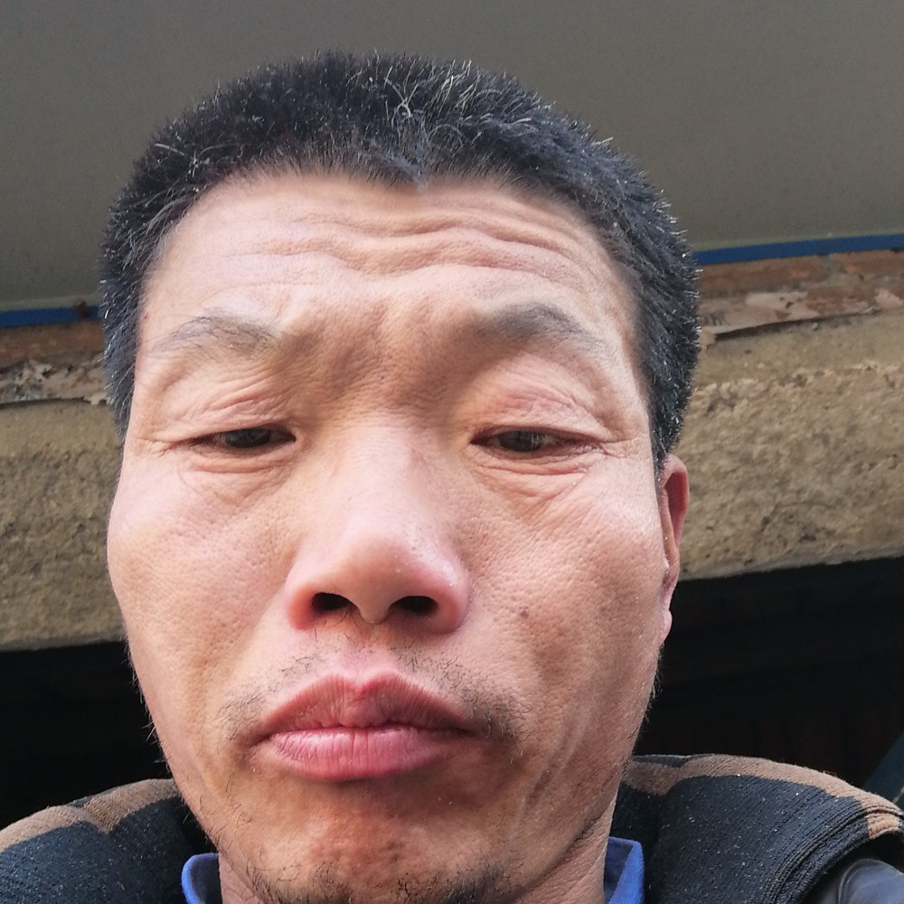 向日葵那妖娆的照片