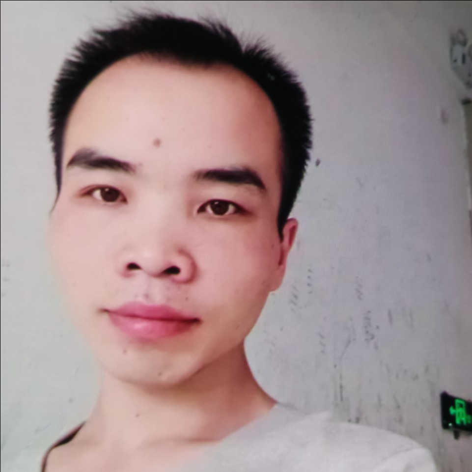 hy黄松的照片
