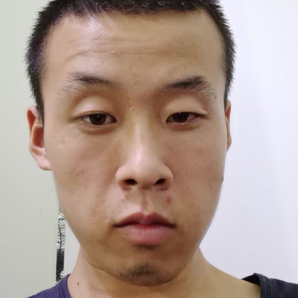 纯真停止含羞草的照片