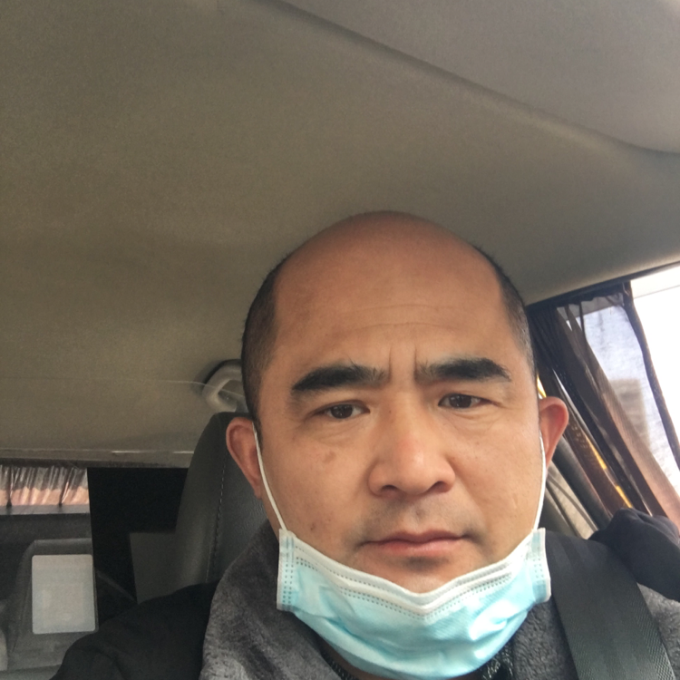 小海豚迎威武的照片