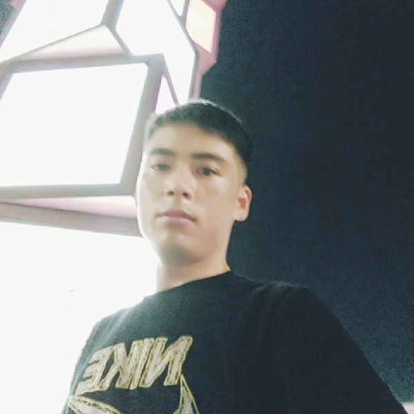 華麗黑夜的照片