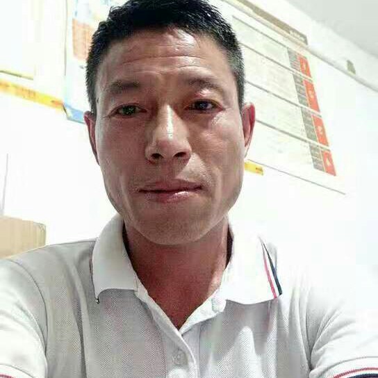 像梦一样的自由的照片