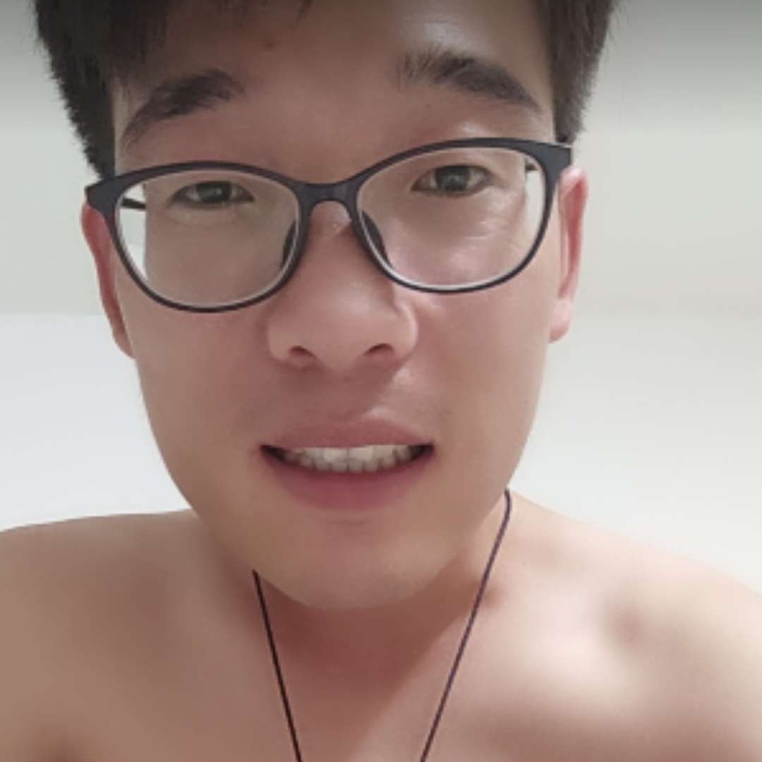 阳光向发夹的照片