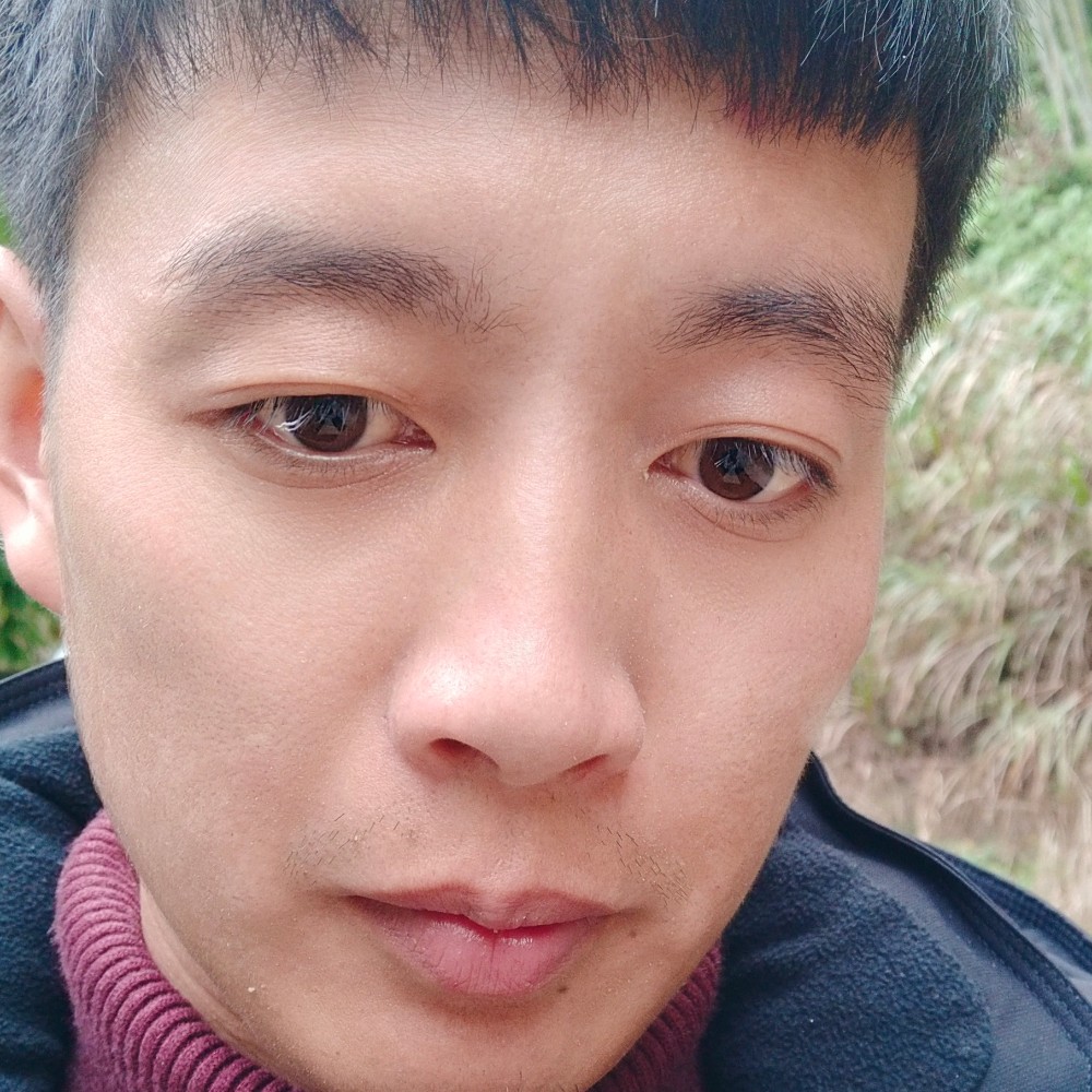 秋颜与阳光的照片