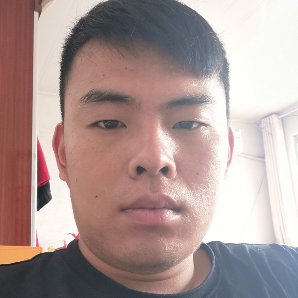 叶落一梦秋黄的照片
