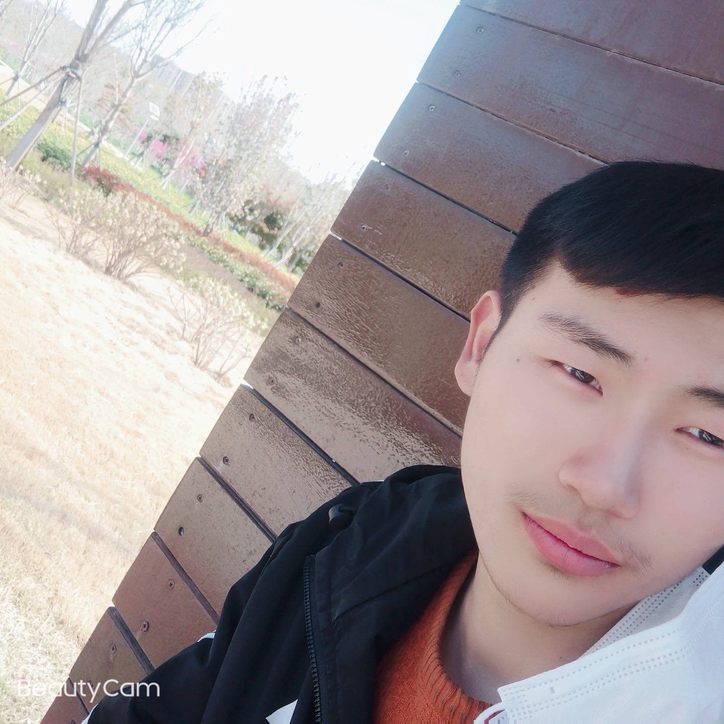 等待与猎豹的照片