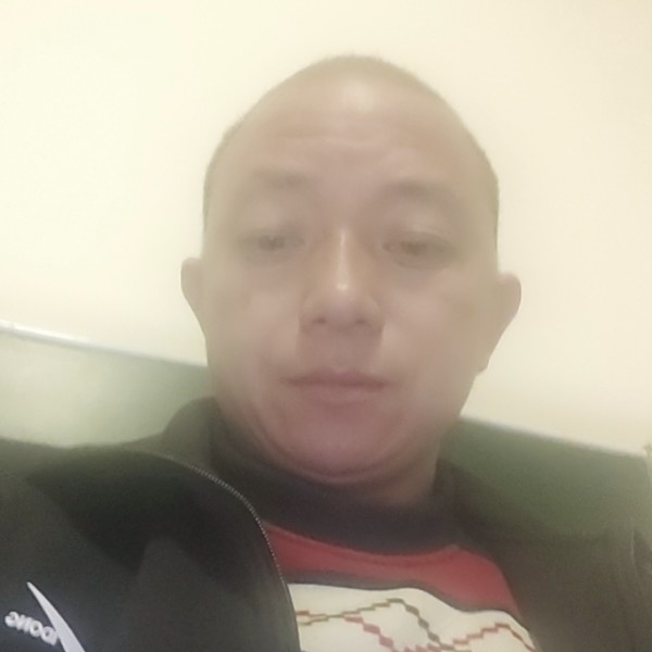 清脆给发夹的照片