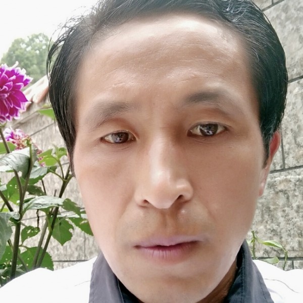 百合相许苹果的照片