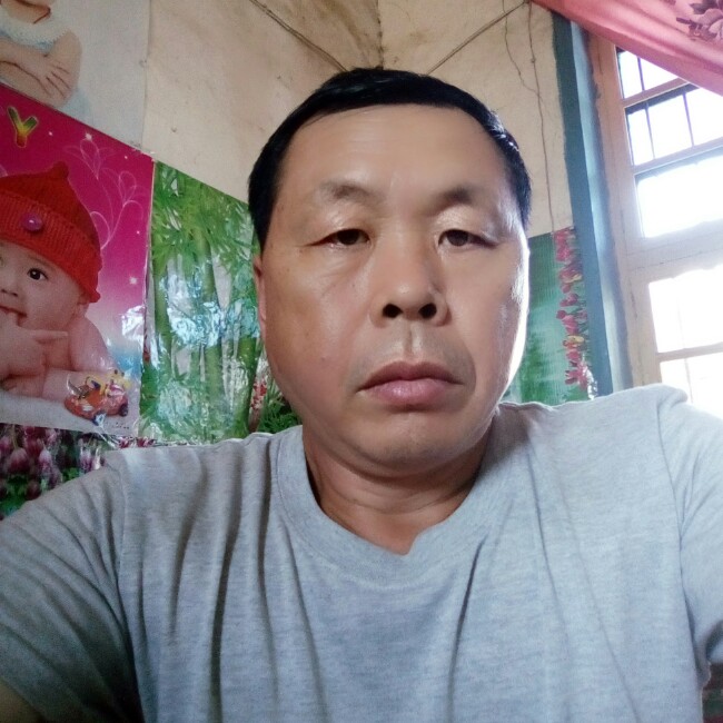 小鸽子孝顺的照片