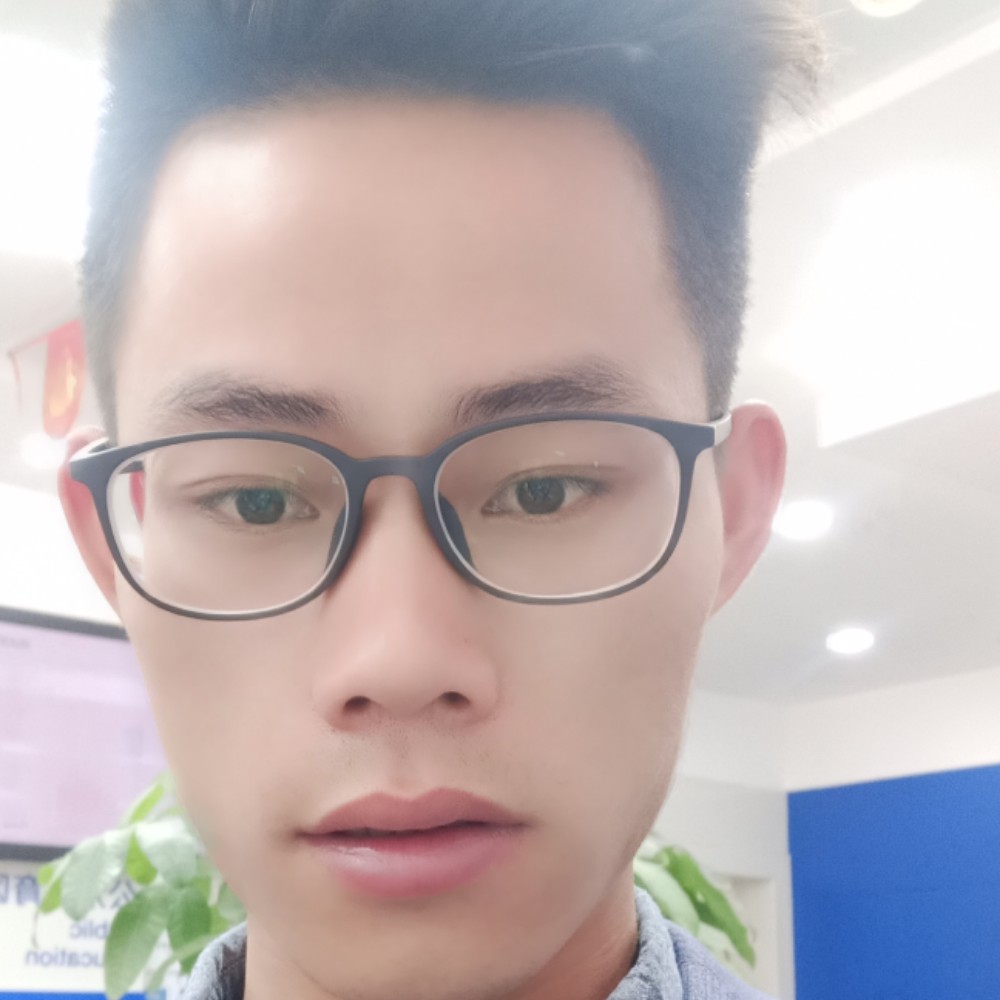 慈祥等待狗的照片