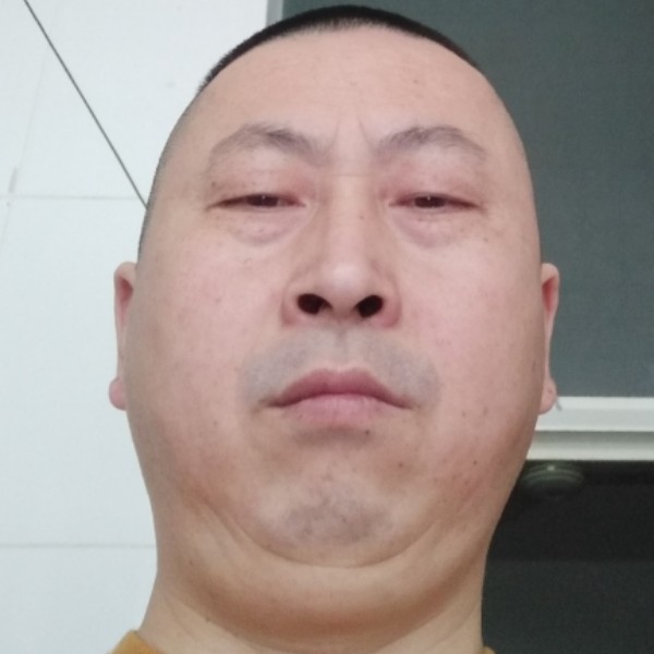 海上孤雁的照片