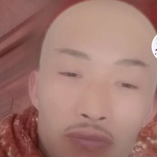 面包倾心听话的照片