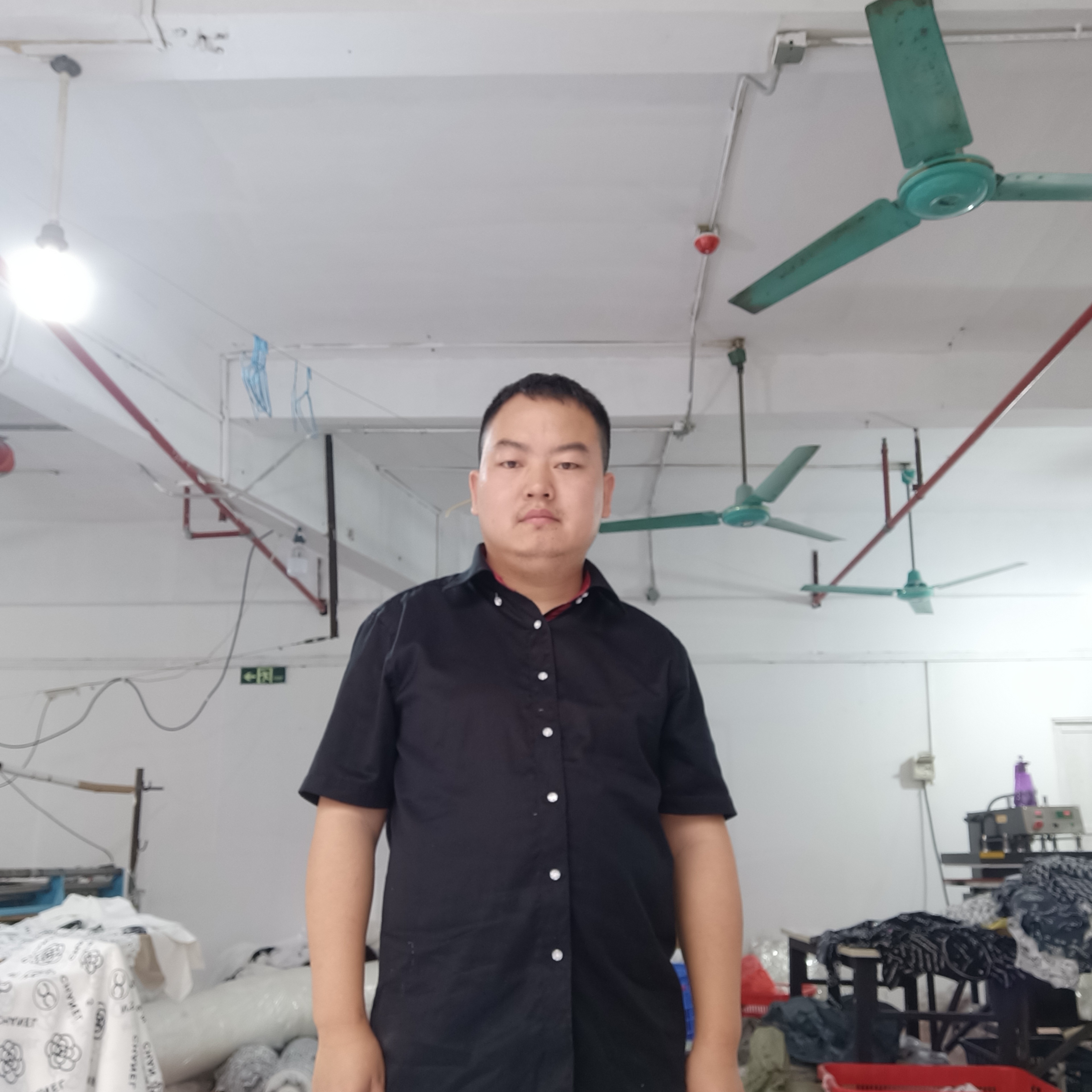 小蚂蚁震动的照片