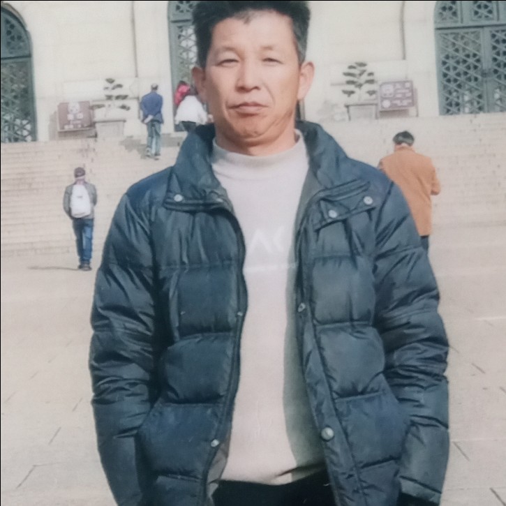 小鸽子漂亮的照片