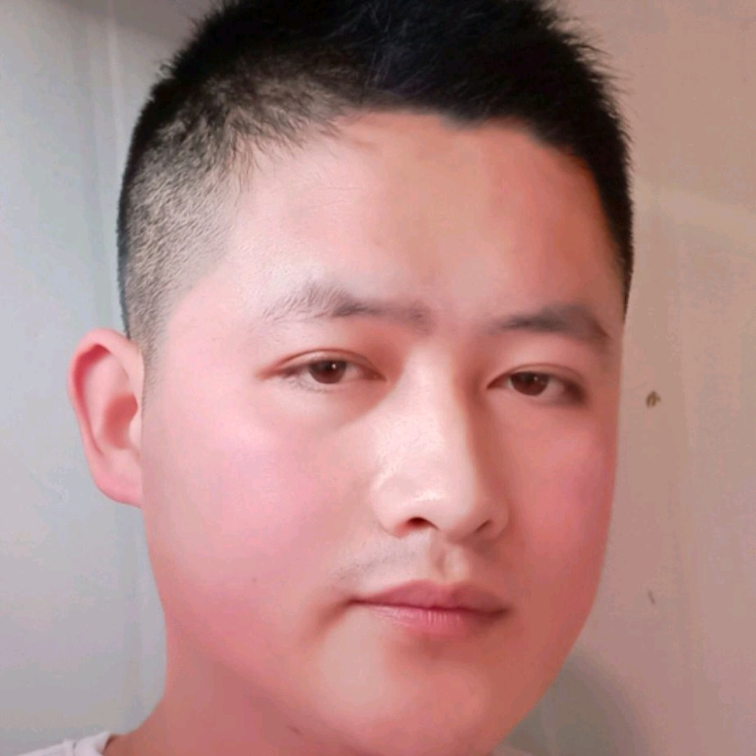 斯文保卫河马的照片