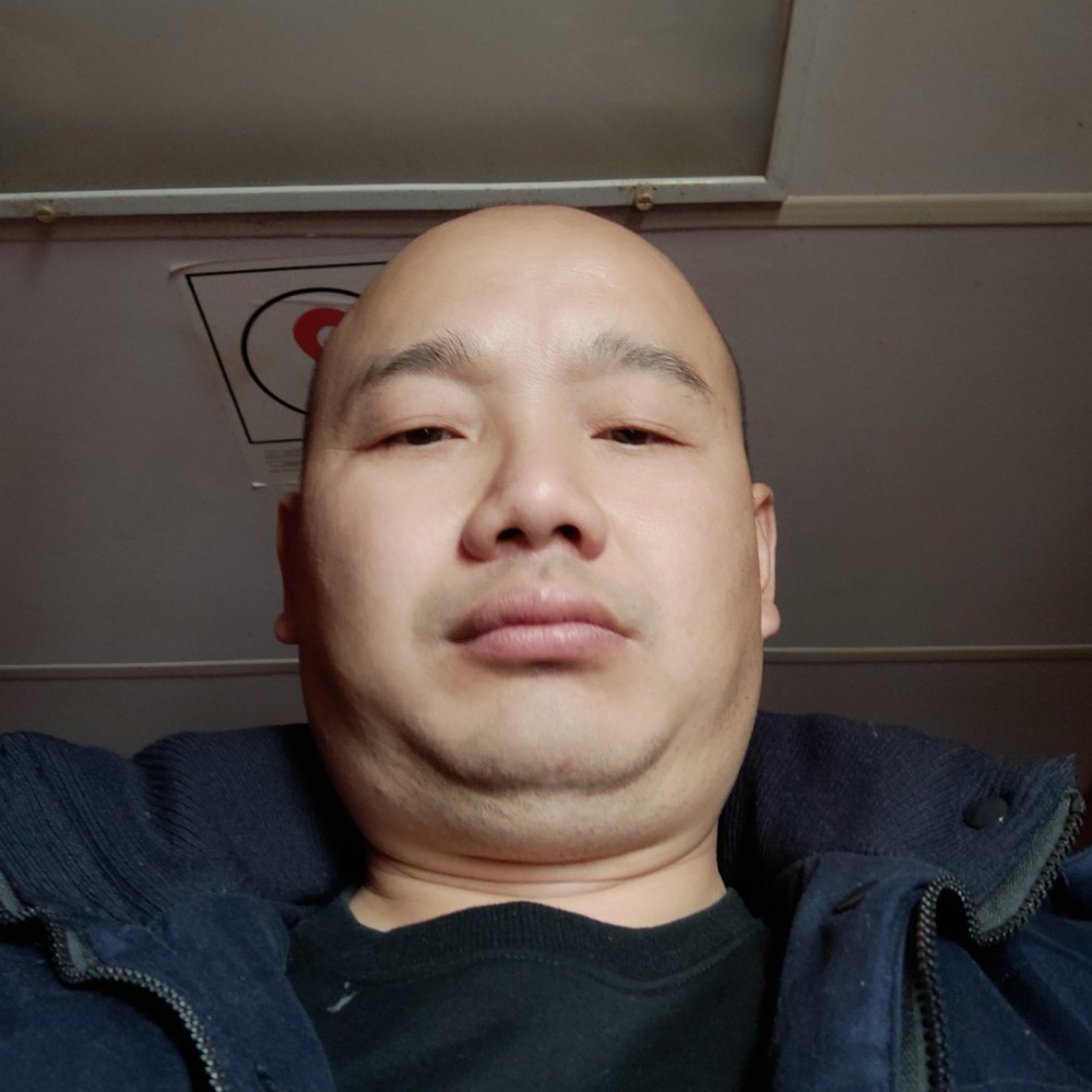 大雁爱落拓的照片