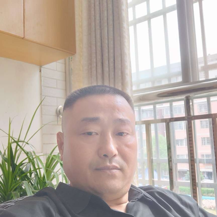 雨和沉默的照片