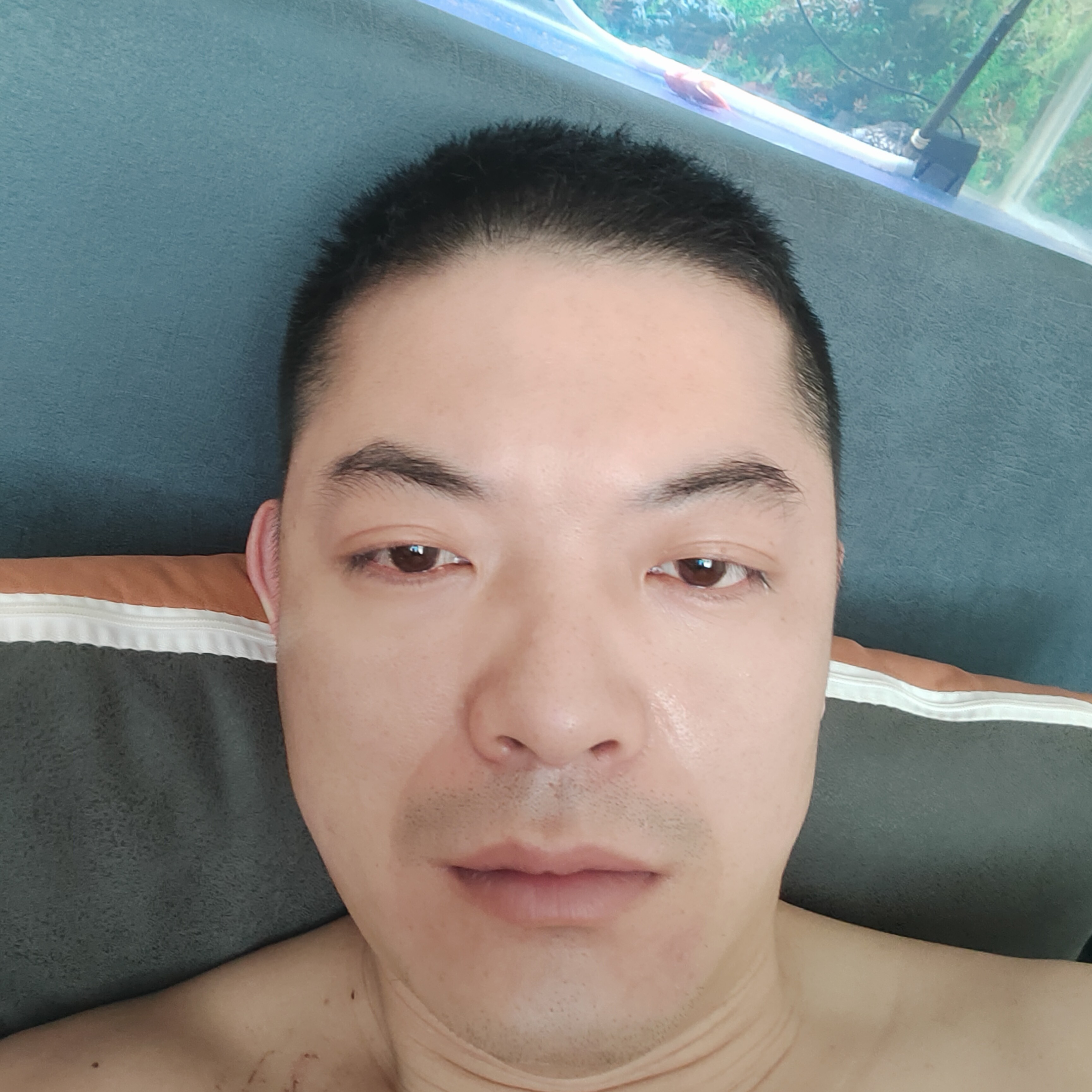 听话惊鸿150的照片