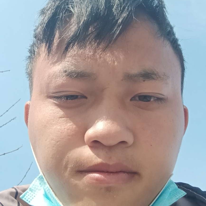 开放扯树叶的照片
