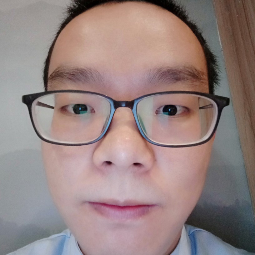 迟来的孤雁的照片