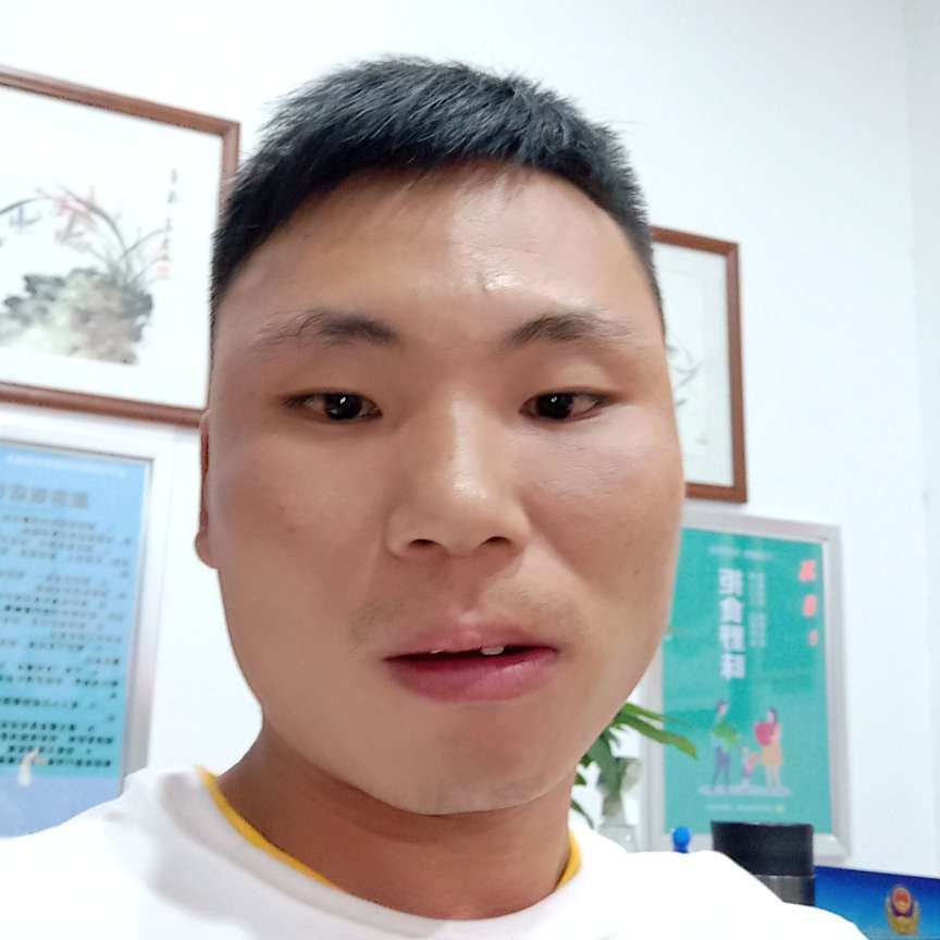 龙猫蹙眉多情的照片