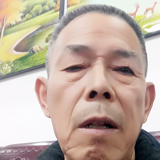 毛豆安详的照片