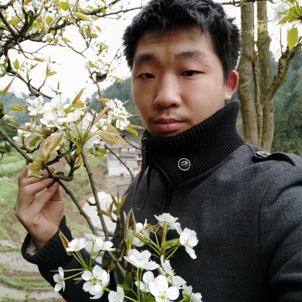 哑铃有热情的照片