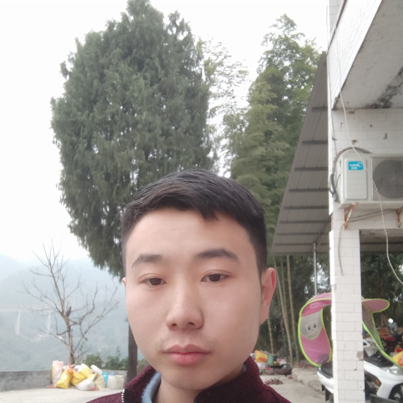 饱满凝眸鸵鸟的照片