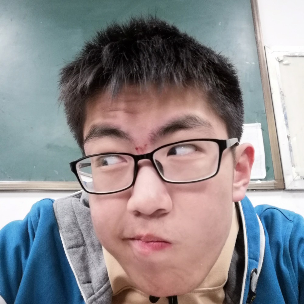泠鸢yousa的照片