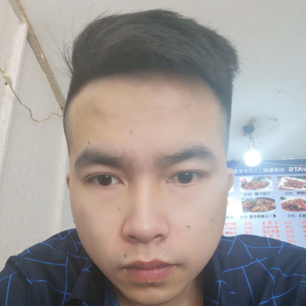 含羞草可爱的照片