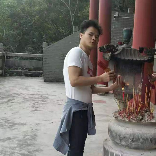 舒心闻飞鸟的照片