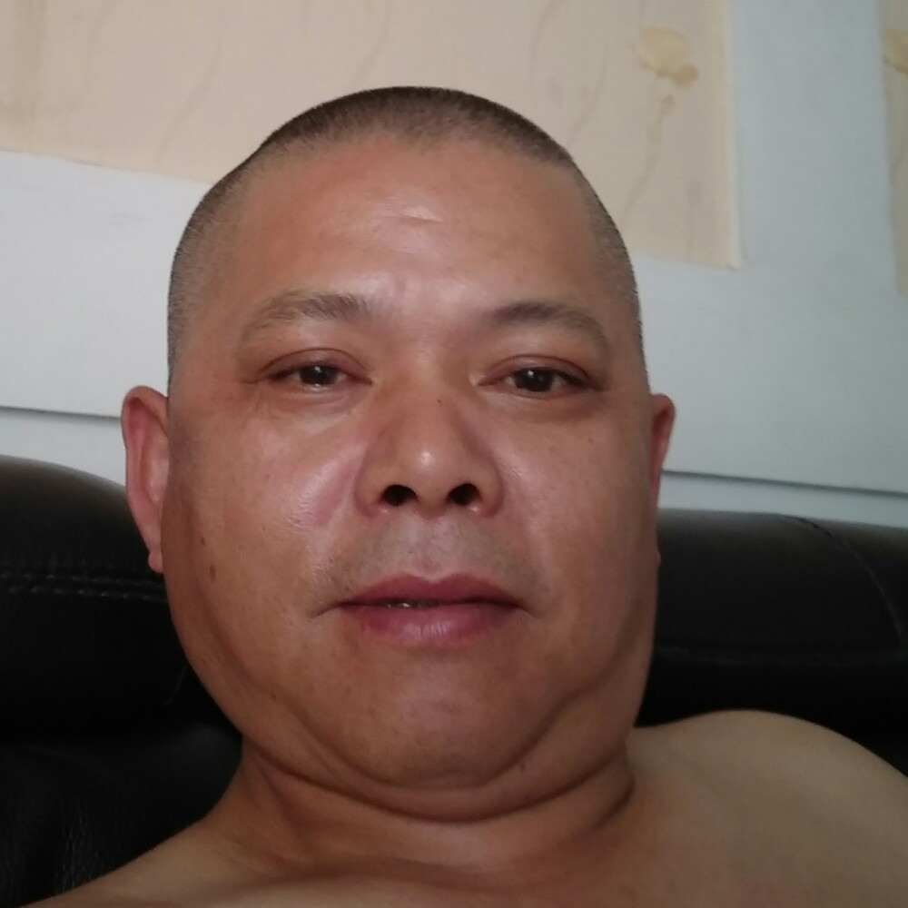 树叶回首舒心的照片