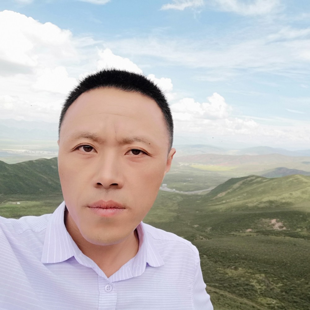 蓝莓爱恋平淡的照片