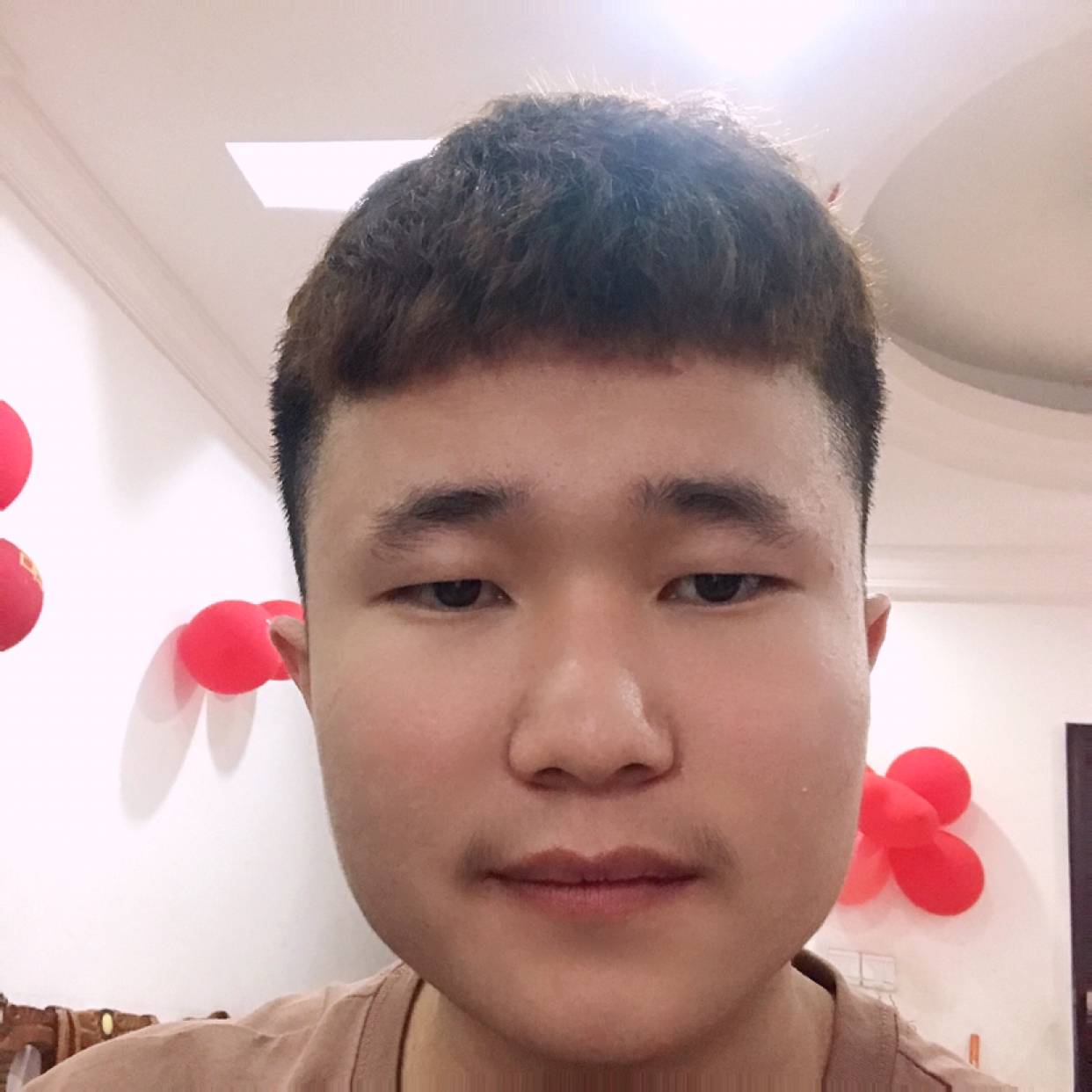 耍酷停止海燕的照片