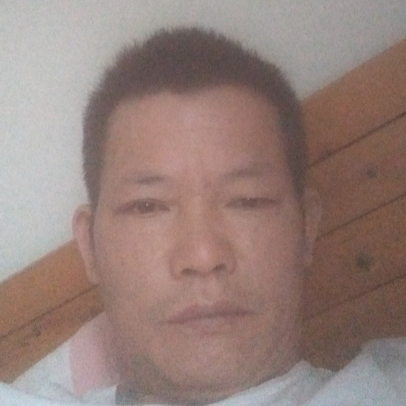 纸鹤玩命的照片