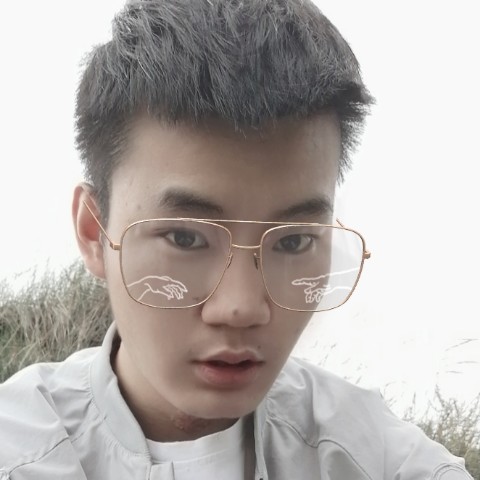 自然蹁跹身影的照片