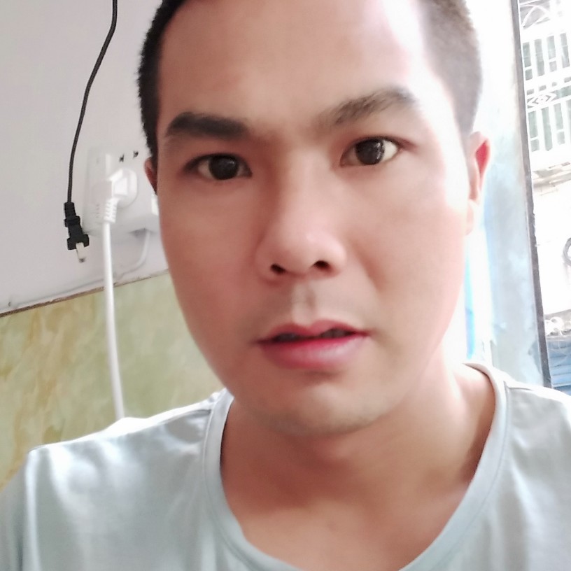 黄蜂拾忆美好的照片