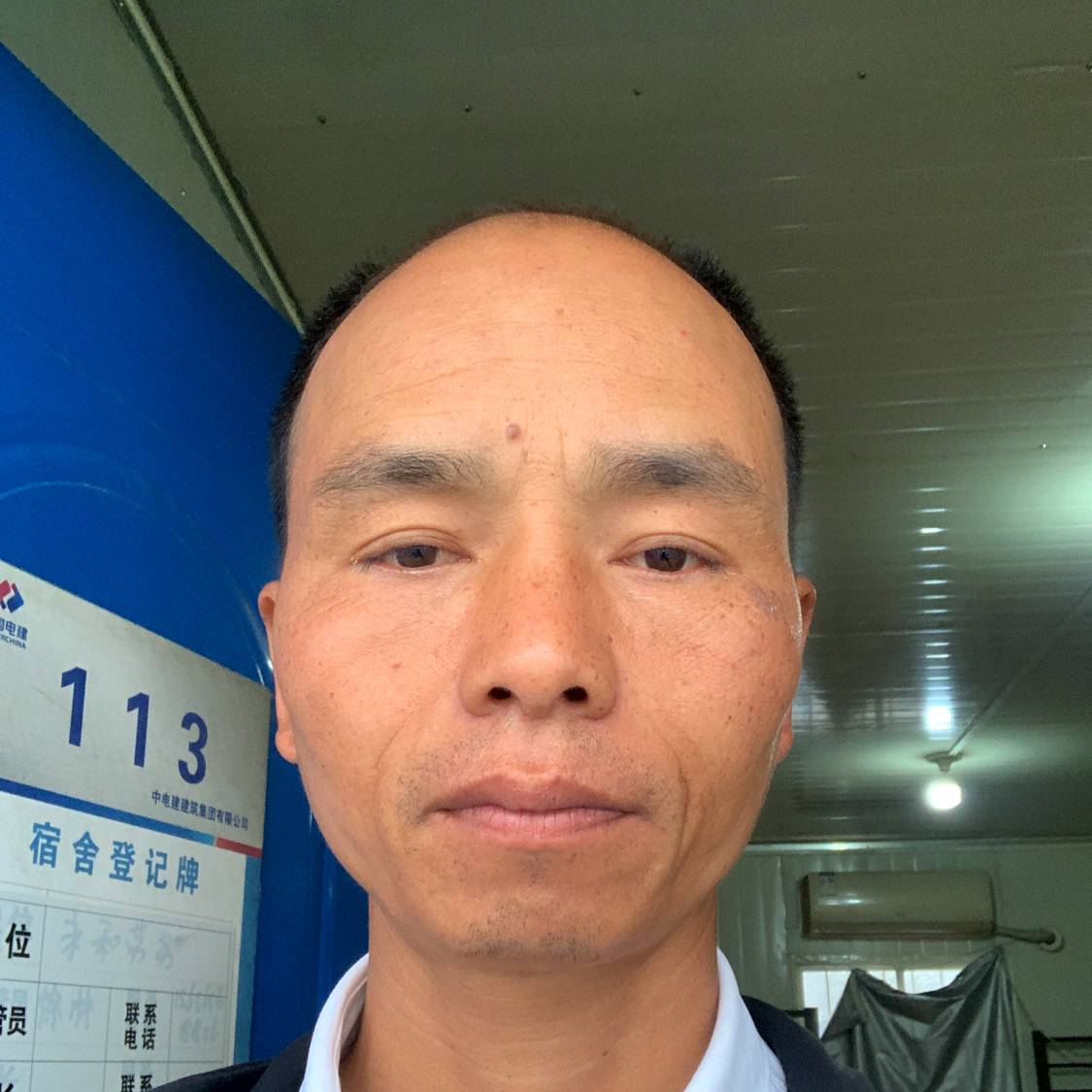 海燕邂逅苹果的照片