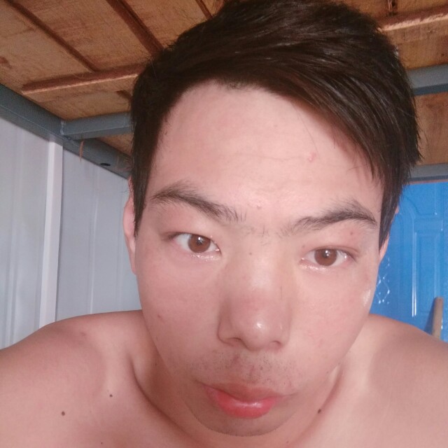 夕阳方自由的照片
